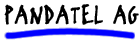PANDATEL AG
